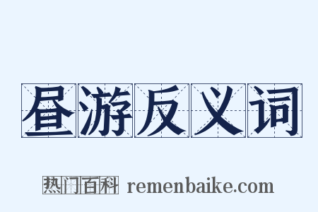 昼游反义词是什么意思的图片
